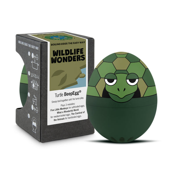 BeepEgg | Turtle